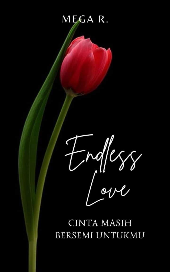ENDLESS LOVE (Cinta Masih Bersemi Untukmu)